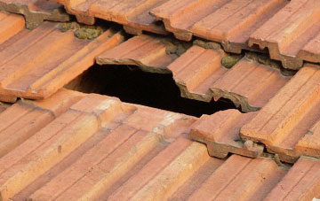 roof repair Dolymelinau, Powys